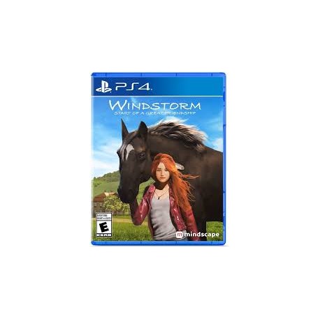 Windstorm Start of a Great Friendship-ps4-bazar