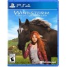 Windstorm Start of a Great Friendship-ps4-bazar